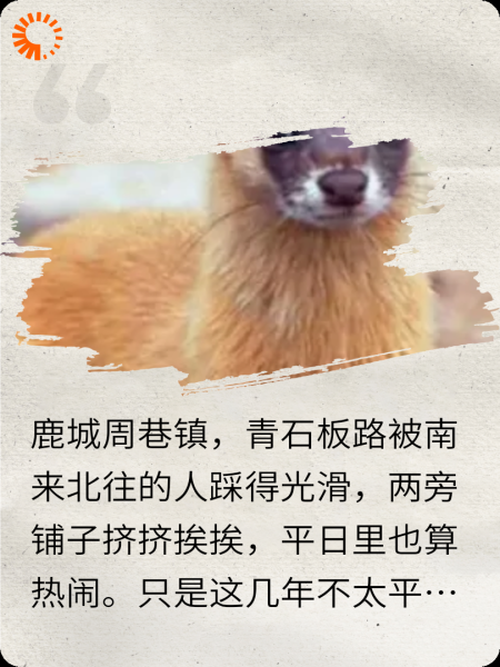 阴生子