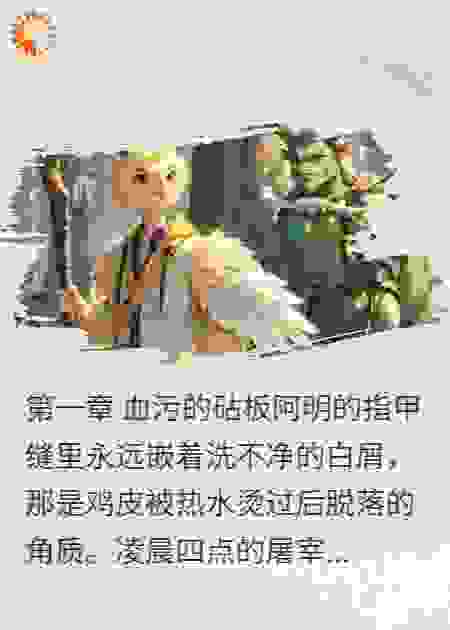 羽栖海拉鲁：一只赎罪鸡的奇幻之旅