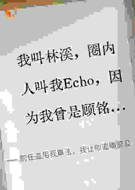 前任盗用我算法，我让你追悔莫及