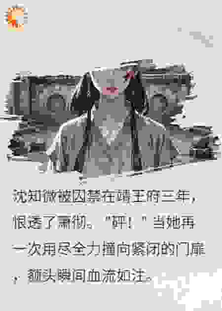 误囚：王府的秘密囚妃