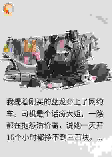 知道我蓝龙虾喂猫，女司机杀疯了