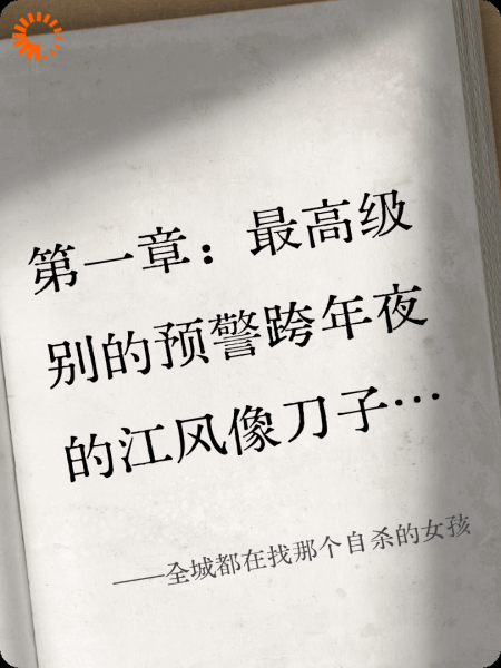 全城都在找那个自杀的女孩