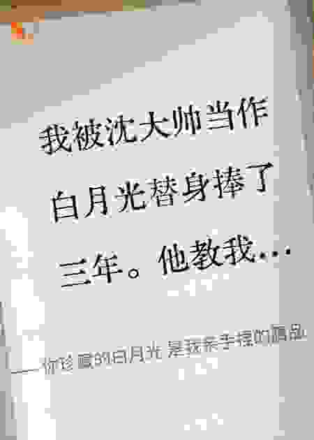 你珍藏的白月光是我亲手捏的赝品