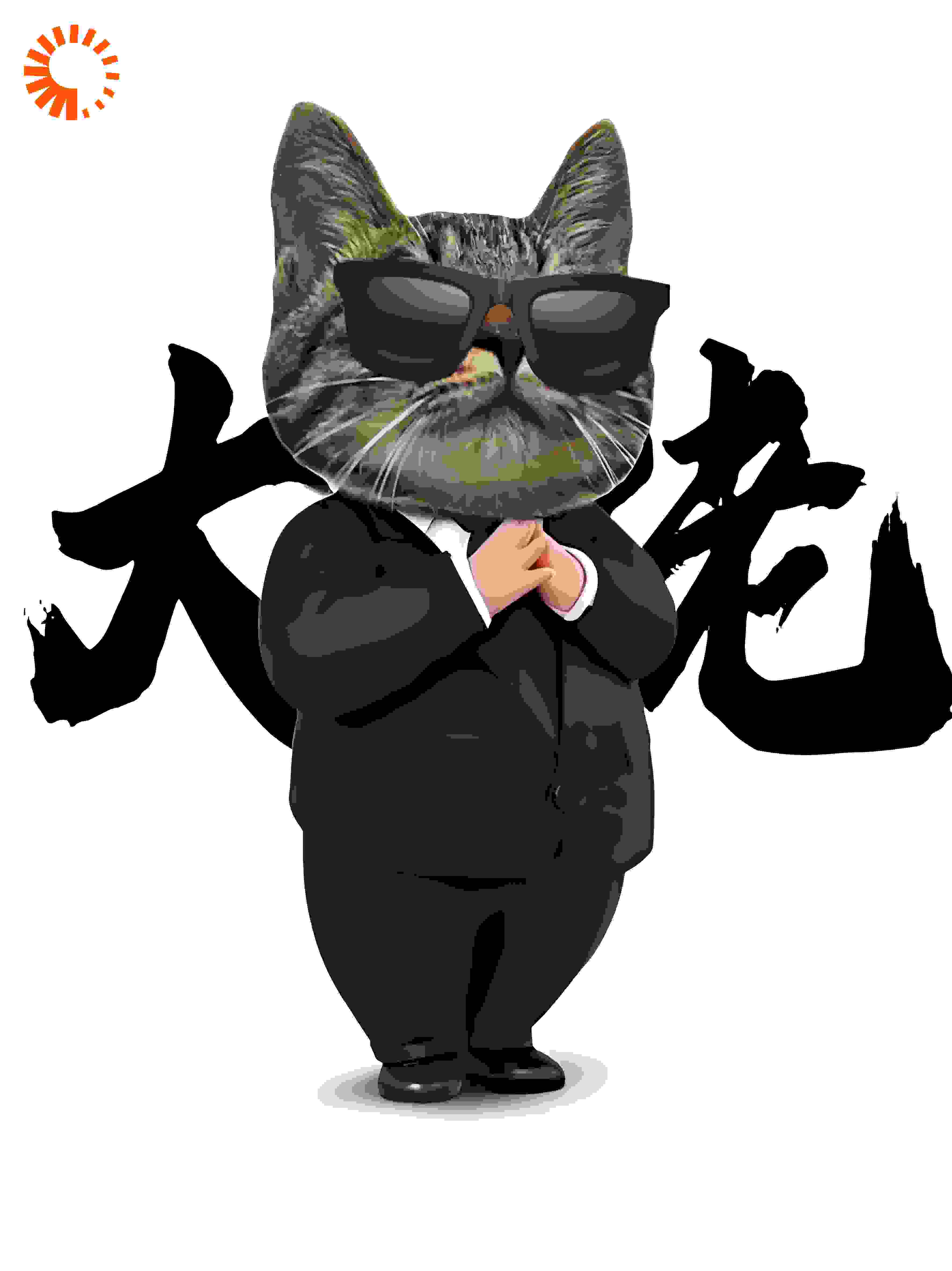 天降喵司